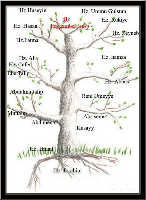 Hz.Muhammed(S.A.V)in Soyağacı