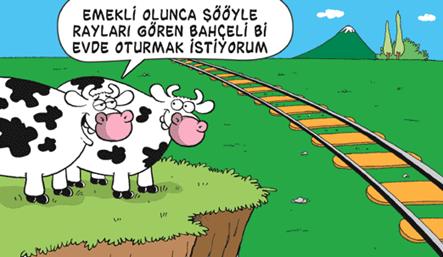 öküzlerin tren düşkünlüğü