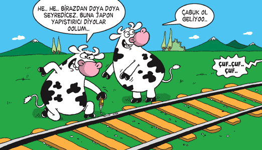 öküzlerin tren düşkünlüğü