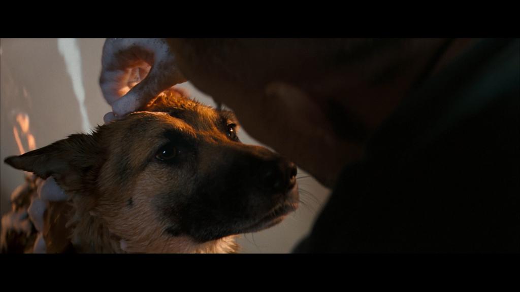 I Am Legend (Ben Efsaneyim) [2007]