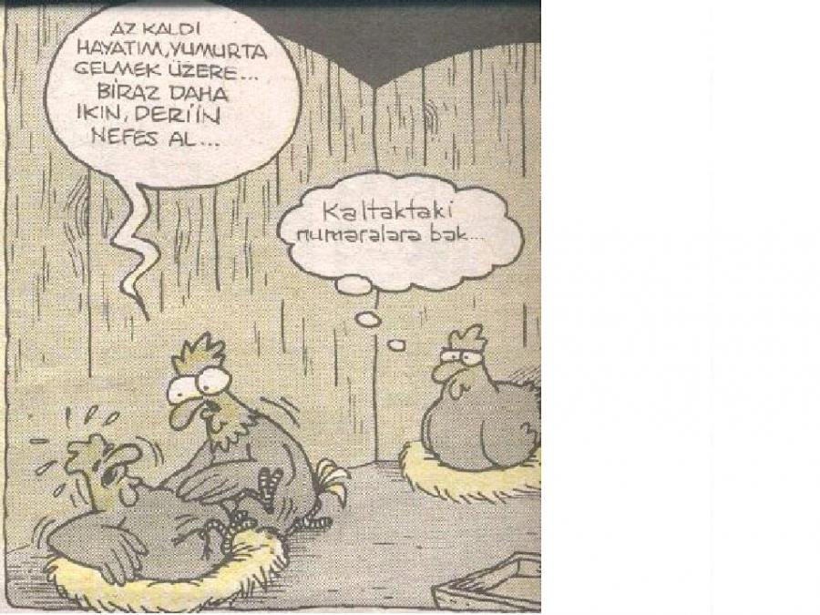 Karikatürler Buraya!