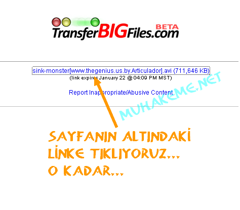 TransferBigFiles'dan Dosya indirme Resimli Anlatım