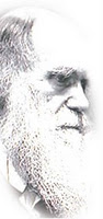Darwin düsüncesi neden benimsenip hala israrla yasatilmaya calisiliyor?