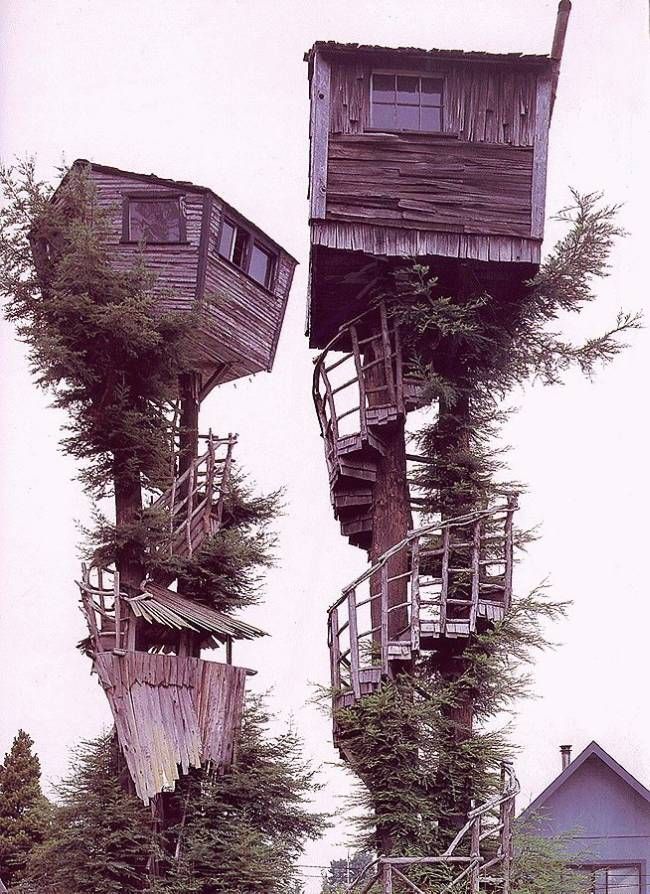 ağaç üstü ev