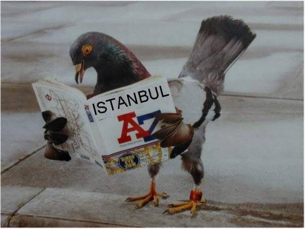 Kuş Bakışı İstanbul