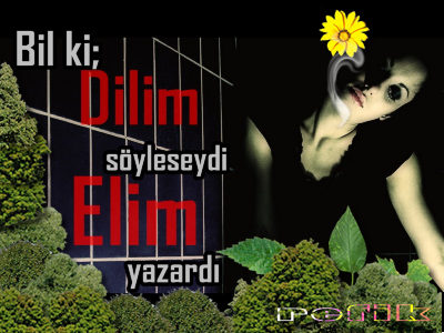 Dilim Söyleseydi ElimYazardı