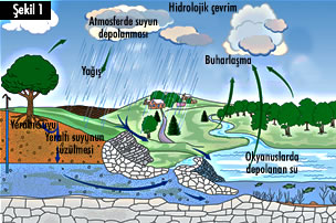 Su Devr-i Dâimi