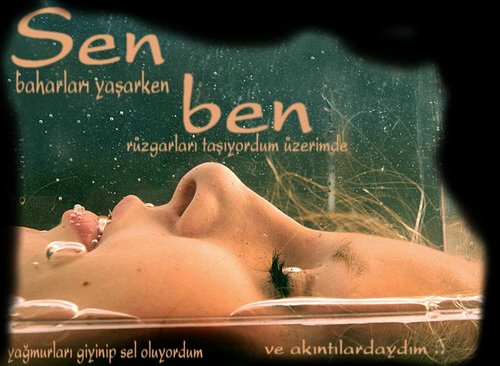 Sen Bahari Yasarken; Ben Rüzgârlari Tasiyordum... Sen Bahari Yasarken; Ben Rüzgârlari Tasiyordum...