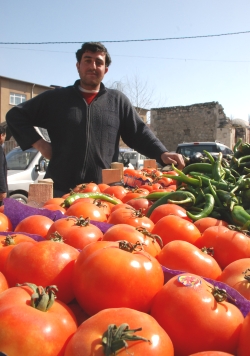 Domateste Akıllar Başa Geldi