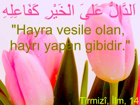 Günün Hadis-i Şerifi