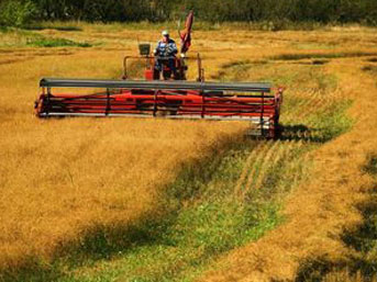 Türkiye'de  tarım-tarımı etkileyen faktörler