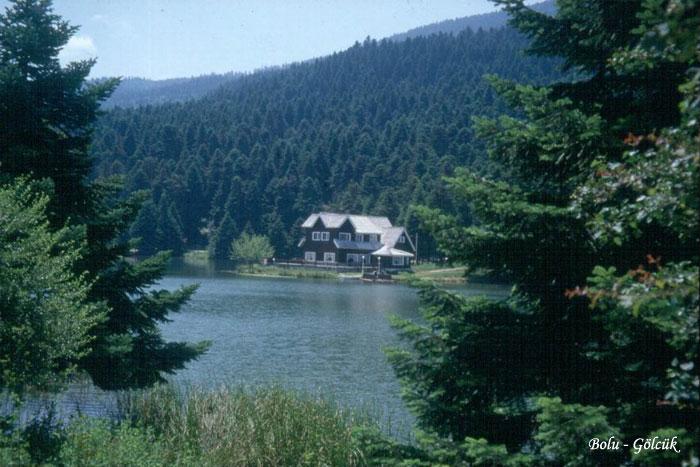 Bolu Bolu