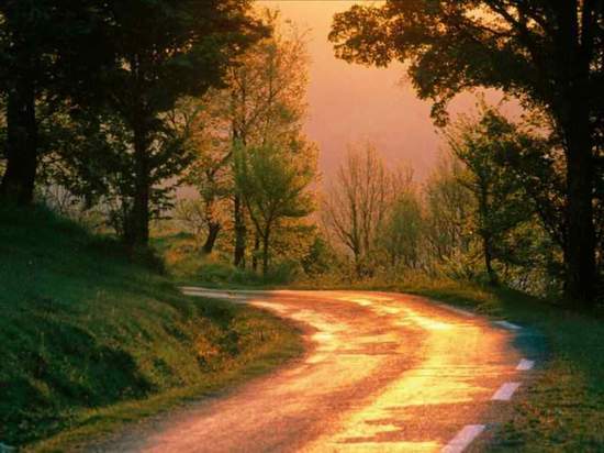 Bütün Yollar Muhakeme`ye Çıkar Bütün Yollar Muhakeme`ye Çıkar
