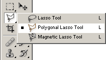 Polygonal Lasso ile Arkaplanı Temizleme