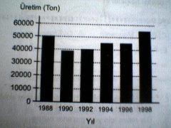 Kpss 2004 genel kültür sorulari