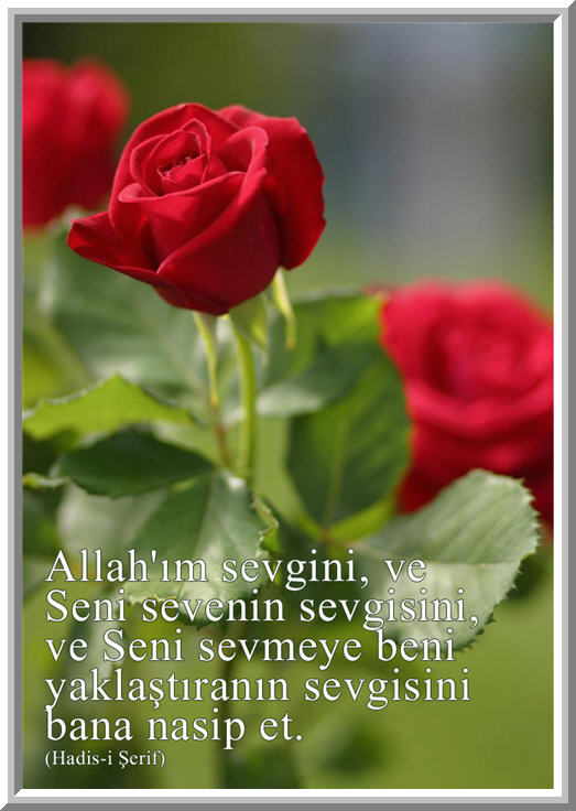 Allahım!.....