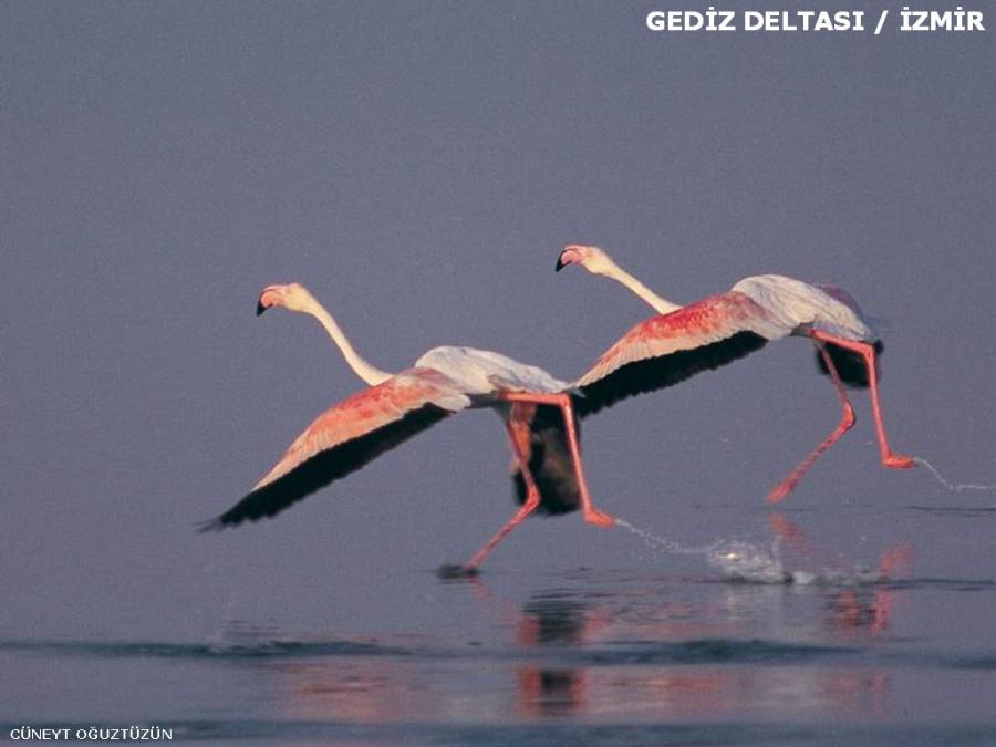 Profesyonel fotoğrafçıların çektiği Anadolu manzaraları