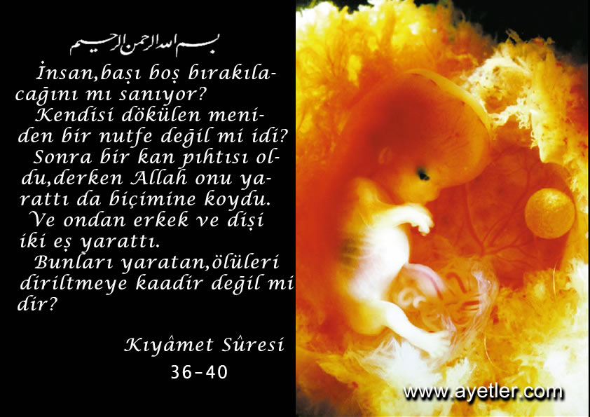 Ayet-i Kerimeler