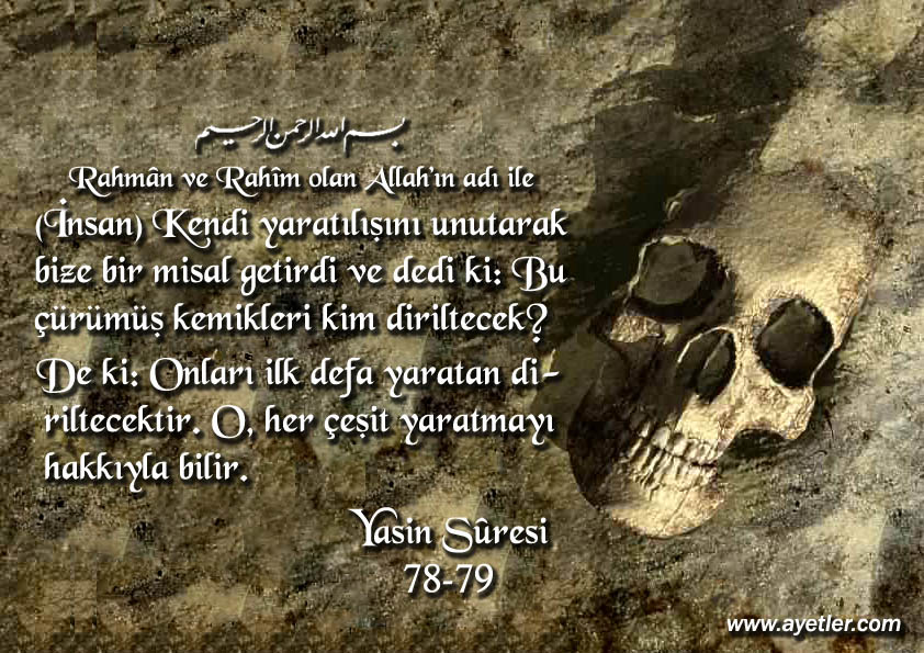 Ayet-i Kerimeler