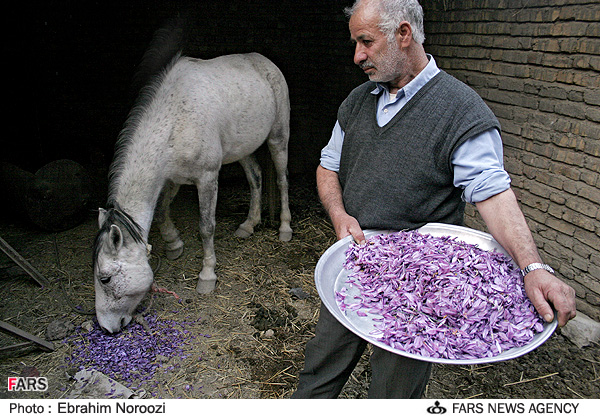 SAFRAN'ın özellikleri