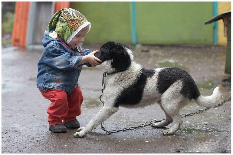 Süper Seyirlik Fotolar.........