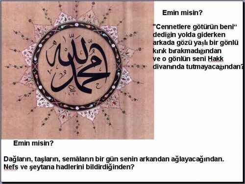 ..:Emin Misin?:..