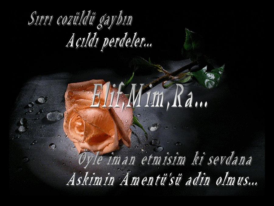 Elif...