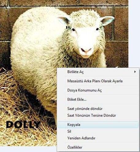 Bir Mouse'un sağ tuşu neler yapabilir ?..