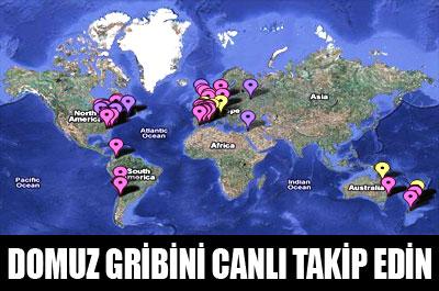 Domuz gribini google maps ile takip edin