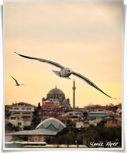 İsTanbuL