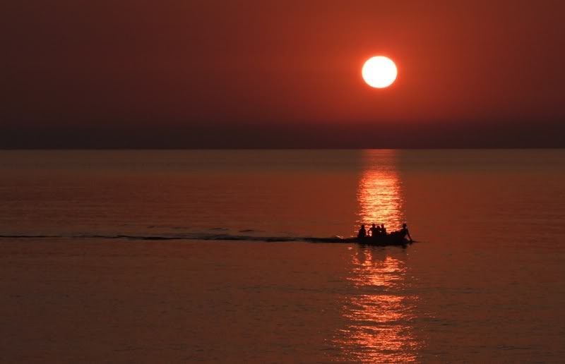 Siyah Ve Kızıl Fotoğraflar (1)