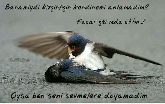 eskiye dair...olmayan sevgiliye...