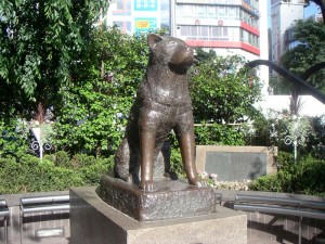 Hachiko ve SADIKLIK