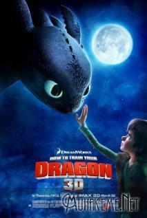 How to Train Your Dragon / Ejderhanı Nasıl Eğitirsin