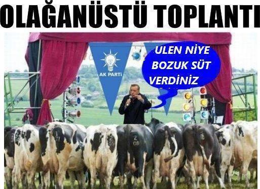 Bozuk Sütlerin Hesabı Soruldu :)