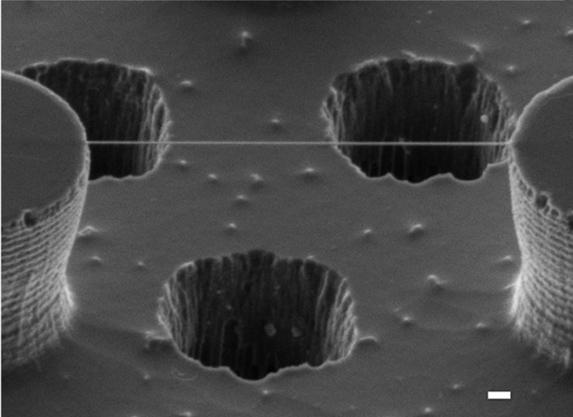 DNA ilk kez doğrudan fotoğraflandı