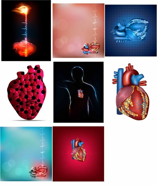 Human heart vector