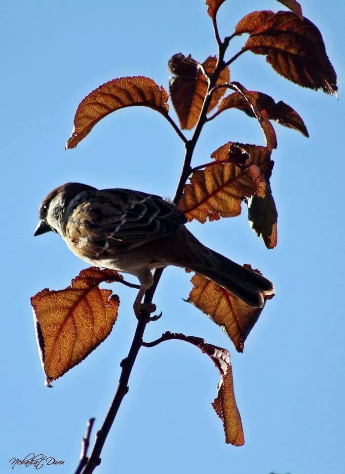 Kime ne yararı var