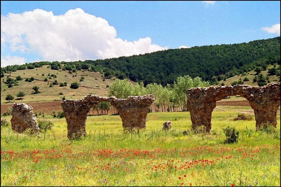 Hakikati Okuyamazsa Niye Vardır…