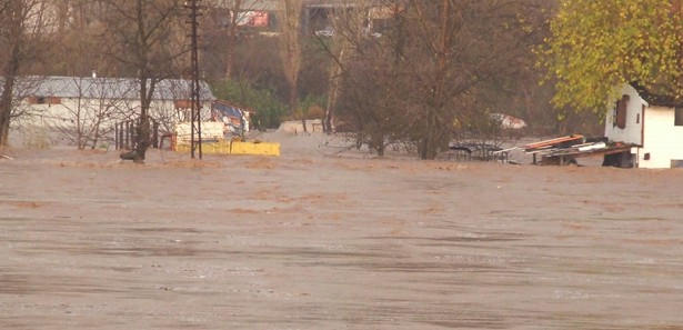 Şanlıurfa'da en güzel acılar yarıştı! İZLE Şanlıurfa'da en güzel acılar yarıştı! İZLE