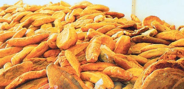 Çöpe atılan ekmek ihraç edilen buğdayı geçti