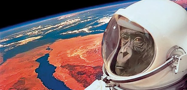 İran uzaya maymun gönderecek! 