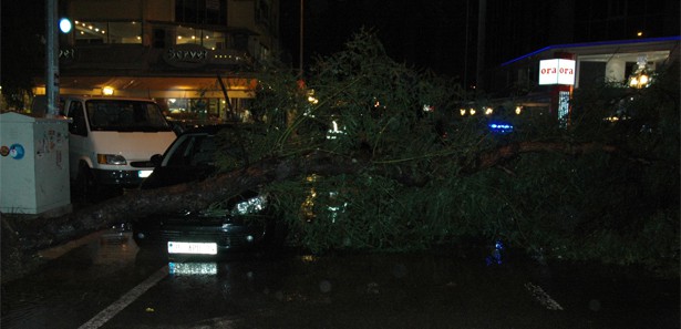 İzmir'de yollar çöktü, ağaçlar devrildi 