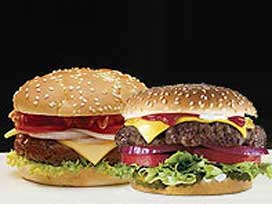 12 ton bakterili hamburgeri köpekler yememiş!
