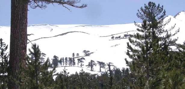 14 üniversite öğrencisi dağda mahsur kaldı