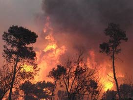 60 hektar ormanlık alan yandı 