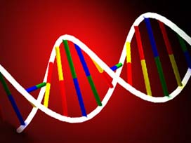 ABD'leri diplomatlara DNA topla direktifi 