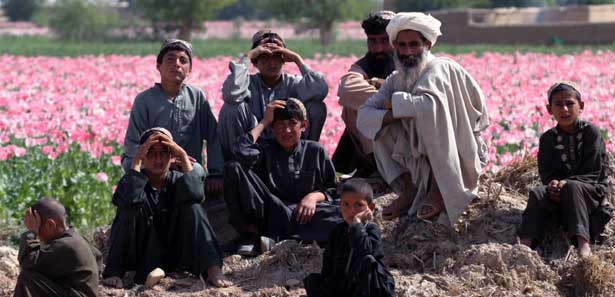 Afganistan'da 13 Talibanlı öldürüldü 