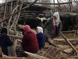 Ahır çöktü hayvanlar telef oldu 