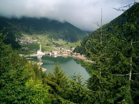 Arap büyükelçiler Trabzon'da 